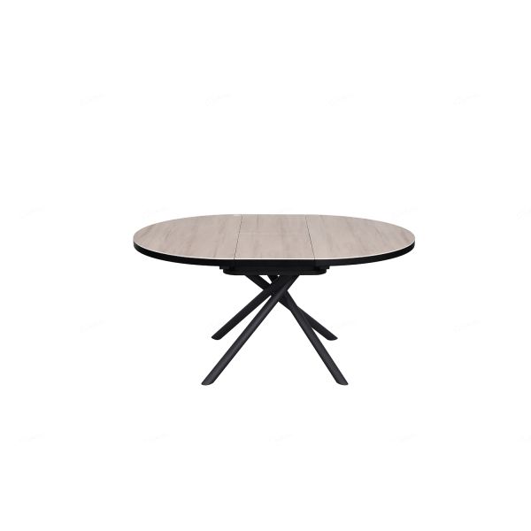 Danello Extending Dining Table