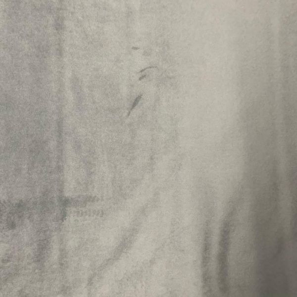 R and S Plush Velvet Grey Fabric