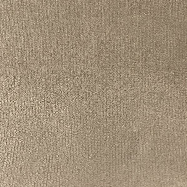 R and S Plush Velvet Mink Fabric