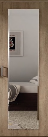 1 x Mirror for Wardrobe